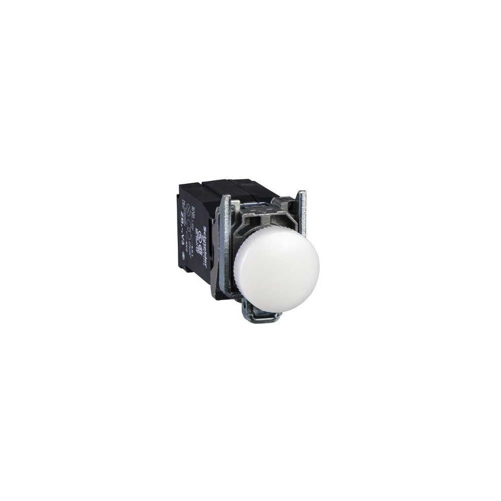 VOYANT LUMINEUX TR VOYANT LUMINEUX TR
