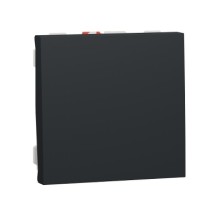 BOUTON-POUSSOIR NO 10A RAPIDE 2 MODULES ANTHRACITE