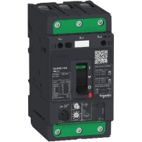 DISJ MOTEUR MAGNETO THERM GV4PE 50A  25KA EVERLINK