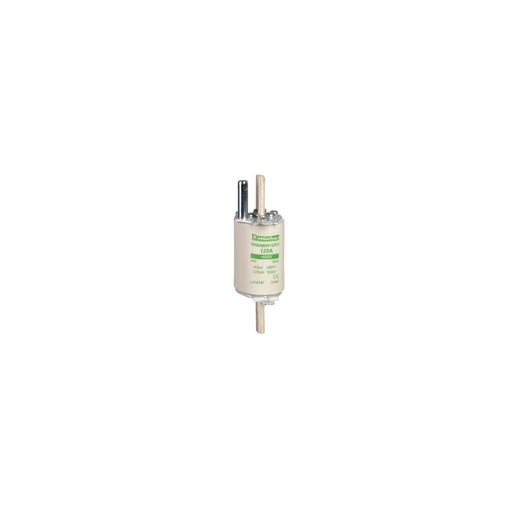 FUSIBLE PERC. OE AM 125A FUSIBLE PERC. OE AM 125A