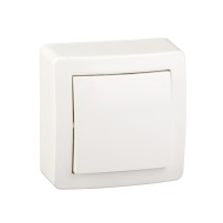 Alréa - interrupteur - produit complet - 1 pôle - blanc polaire