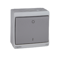 INTERRUPTEUR BIPOLAIRE MUREVA GRIS IP55