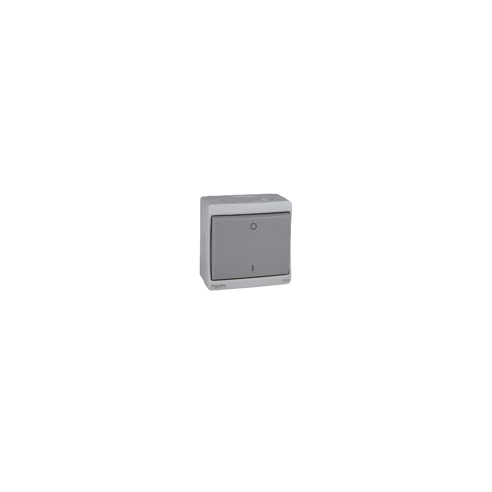 INTERRUPTEUR BIPOLAIRE MUREVA GRIS IP55