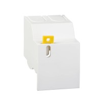 ACTI9 CACHE-BORNES 36MM IC60 IID