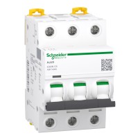 Disjoncteur miniature (MCB), Acti9 iC60N, 2P, 63A, courbe C, 6000A (IEC/EN 60898-1), 10kA (IEC/EN 60947-2)